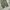 Authentic wide balloon pants photo 4