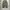 Authentic Wide Balloon Pants