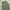 Authentic wide balloon pants photo 2