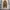 Nigel cabourn fuzao overalls pants photo 1