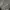 GUESS   grey photo 3