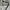 Gramicci Longpants photo 3
