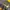 Nike Shox photo 6