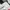 Vintage Y2K Windbreaker Pria white black photo 3