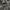 Grammici M Japan Utility Bandana Short photo 6