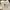 Guess white big logo  photo 1