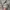 Outer Lafudge Store Boxy - Vintage Open Collar FUDGESTORE photo 8