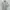 Kangol casual,y2k t-shirt pria grey photo 2