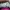 New balance 1906L photo 6