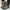 KEEN TARGHEE III WP CASUAL LACE UP OUTDOOR HIKING LEATHER SI photo 3