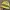 Stussy Streetwear Y2K Hat Pria yellow photo 2
