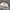 Stussy Streetwear Y2K Hat Pria cream photo 3