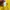 Puma ringer tee casul,streetwear t-shirt pria yellow photo 6