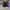 ADIDAS ORIGINAL RANSOM THE HIKE BLACK photo 4