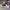 AIR JORDAN 1 LOW SE COLOR SHIFTING photo 3