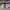AIR JORDAN 1 LOW SE COLOR SHIFTING photo 4