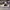 AIR JORDAN 1 LOW SE COLOR SHIFTING photo 1