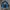 Tracktop Descente photo 4