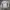 Tracktop Asics photo 5