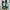 Adidas Campus 00s Green And White