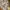 Top Summer Baby Doll  photo 3