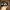 OAKLEY BLACK ACETATE  photo 2
