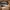 OAKLEY BLACK ACETATE  photo 4