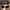 OAKLEY BLACK ACETATE 