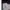 Evisu Jeans Navy Pants Women's photo 8