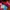 Champion Casual Sneakers Kids pink orange photo 4