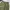 WEGO WIDE FIT CARGO SHORT photo 2