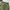 WEGO WIDE FIT CARGO SHORT photo 7