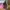 Kate spade tote bag authentic  photo 3
