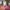 Kate spade tote bag authentic  photo 2