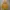 Hoodie Vintage FOTL Fruit Of The Loom Yellow photo 1