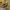 Hoodie Vintage FOTL Fruit Of The Loom Yellow photo 3