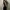 Bodysuit backless  photo 2