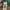 converse all star ballet slip original  photo 7
