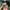 converse all star ballet slip original  photo 8