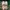 converse all star ballet slip original  photo 4