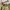 Y2K Grunge Mini skirt Wanita tan khaki photo 4
