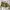Y2K Grunge Mini skirt Wanita tan khaki photo 3