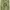 Y2k Exequo Midi Skrit With Floral Graphic Made In Italy photo 2