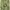 Y2k Exequo Midi Skrit With Floral Graphic Made In Italy