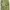 Y2k Exequo Midi Skrit With Floral Graphic Made In Italy photo 6