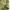 Y2k Exequo Midi Skrit With Floral Graphic Made In Italy photo 4
