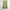 Y2k Exequo Midi Skrit With Floral Graphic Made In Italy photo 1
