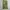 Y2k Exequo Midi Skrit With Floral Graphic Made In Italy photo 5