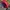 Logo 7 Montreal Canadiens NHL hat photo 6