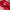 Streetwear Hoody Pria red photo 5